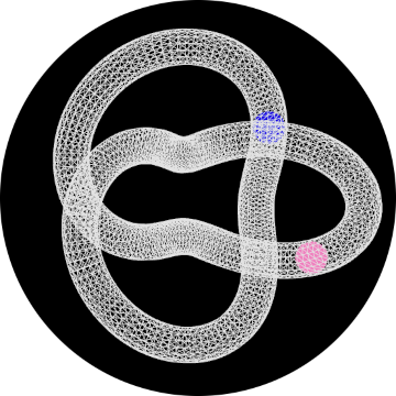 Balls Moving inside Torusknot